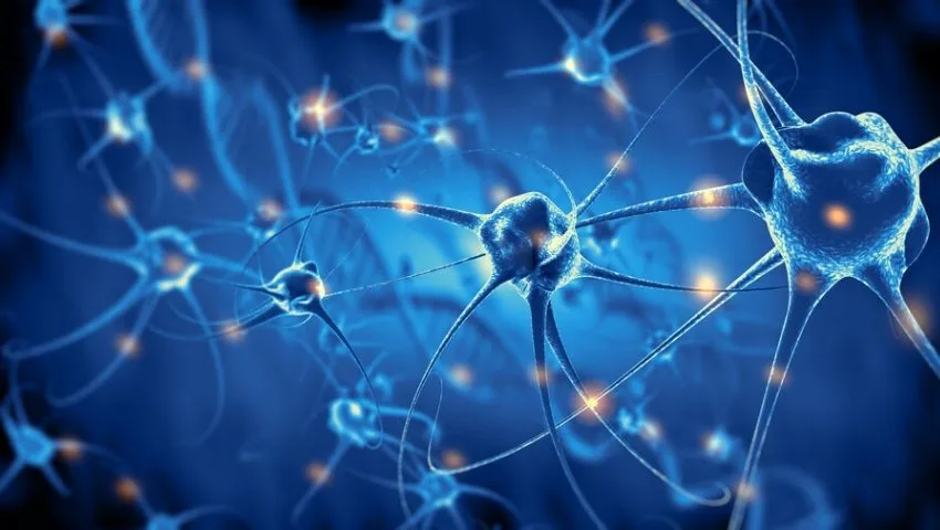 Nerve Sheath Tumor Treatment in Delhi